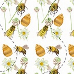Honeybee Hive Collection E