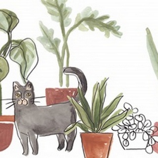 Purrfect Plants Collection A