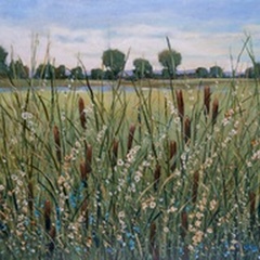 Cattail Marsh I