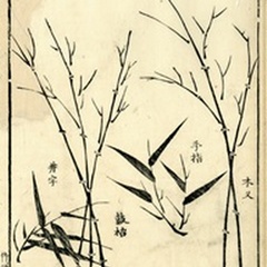 Bamboo Woodblock II