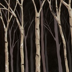 Midnight Birches I