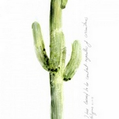 Cactus Verse V