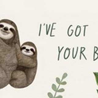 Sloth Sayings Collection D