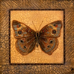 Crackled Butterfly - Buckeye