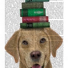 Yellow Labrador and Books