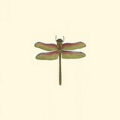 Miniature Dragonfly III