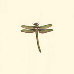 Miniature Dragonfly I