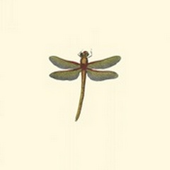 Miniature Dragonfly II