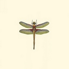 Miniature Dragonfly IV