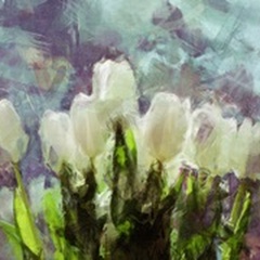 Sunlit Tulips II