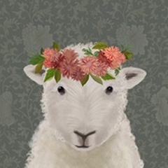 Sheep Bohemian 1
