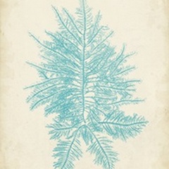 Aquamarine Seaweed III
