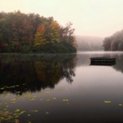Still of the Lake