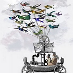 Bird Boat