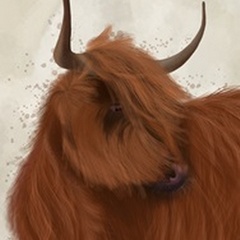 Highland Cow 2, Portrait