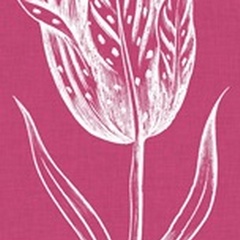 Chromatic Tulips V