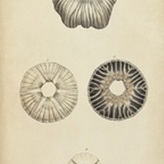 Cylindrical Shells II