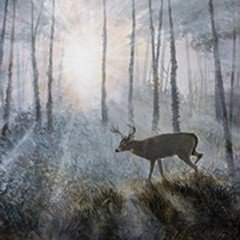 Deer Path IV