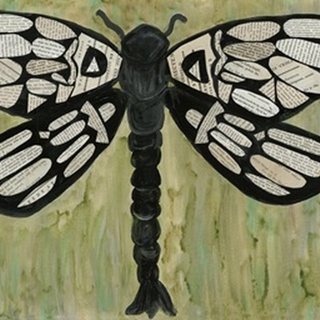 Dragonfly Text