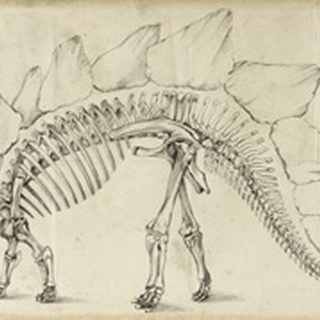 Dinosaur Study III