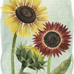 Sunflower Study II