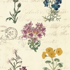 Botanical Journal I