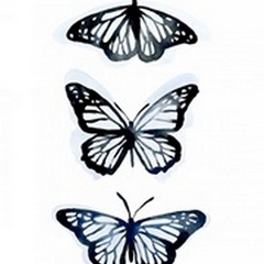 Blue Butterfly Trio II