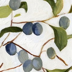 Olives on the Branch IV