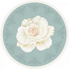 Cream Rose Collection C