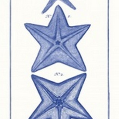 Blue Sea Stars II