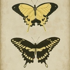 Antique Butterfly Pair I