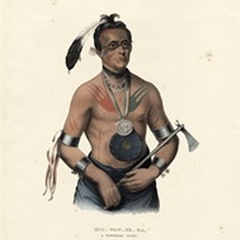 A Winnebago Chief