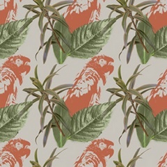 Graphic Tropical Bird Collection H
