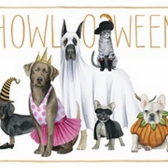 Howloween Collection A