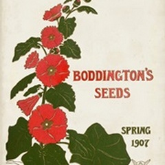 Antique Seed Packets I