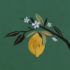 Lemon Blossom I