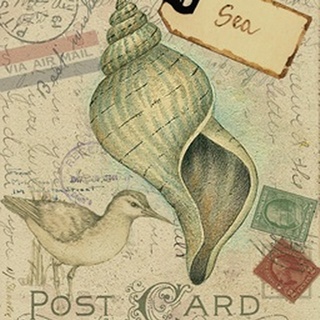 Postcard Shells II