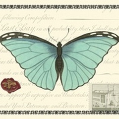 Butterfly Prose IV