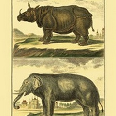 Diderot's Elephant and Rhino