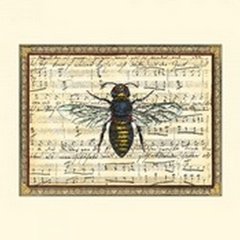 Bumblebee Harmony II