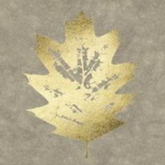 Gold Foil Leaf I on Lichen Wash