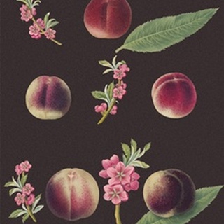 Brookshaw Peaches