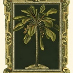 Decorative Framed Palm II