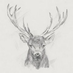 Contemporary Elk Sketch II