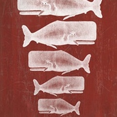 Whale Family White On Red