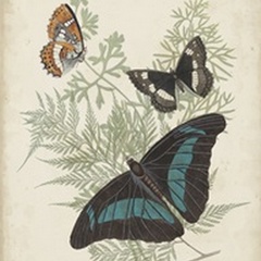 Butterflies and Ferns II