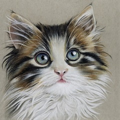 Kitten Portrait II