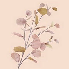 Pastel Flowers II