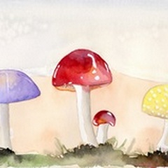 Faerie Mushrooms II
