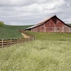 Barn by the Fence